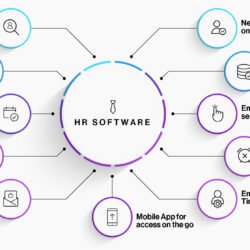 Best HRIS Software For Small Business